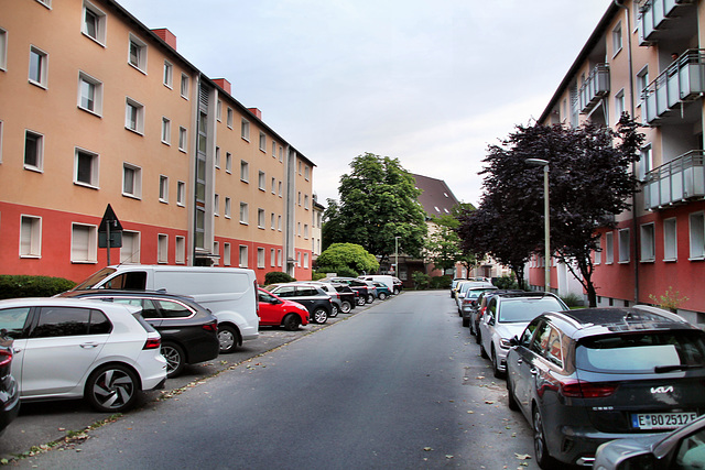 Kaupenstraße (Essen-Südviertel) / 15.06.2024