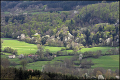 printemps montagnard