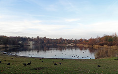 Kreidebergsee