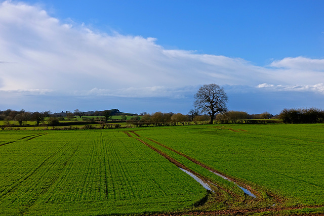 After the snow we now have the mud