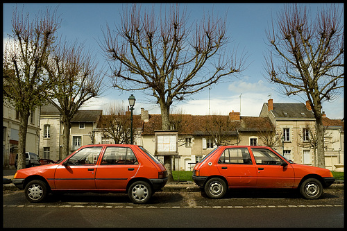 Twin Pugs in square