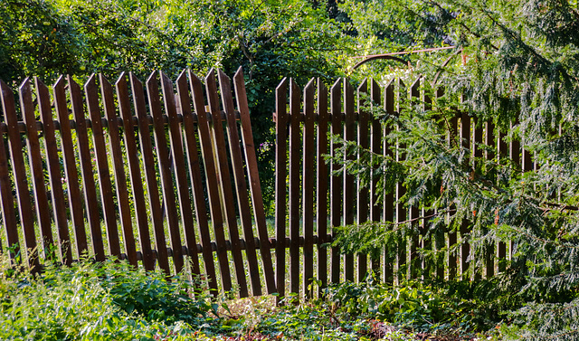 A Fence for Friday