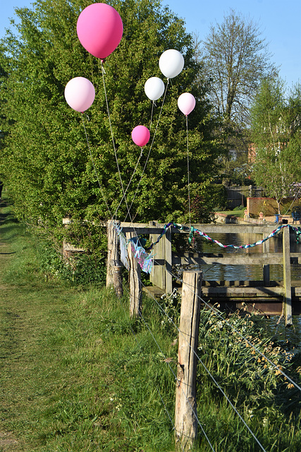 Cynthia Birthday Fence!