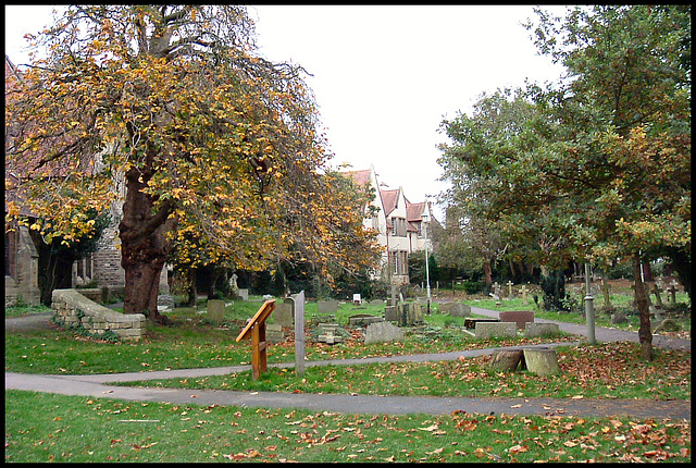autumn in the churchyard
