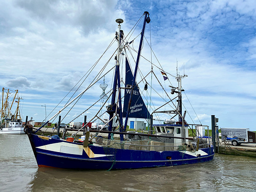 Fangfrische Krabben direkt vom Schiff; lecker !