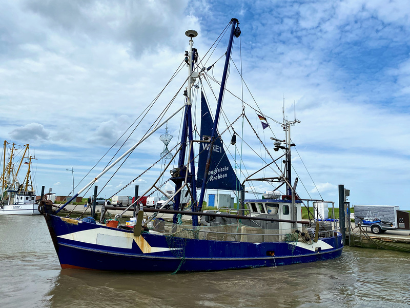 Fangfrische Krabben direkt vom Schiff; lecker !