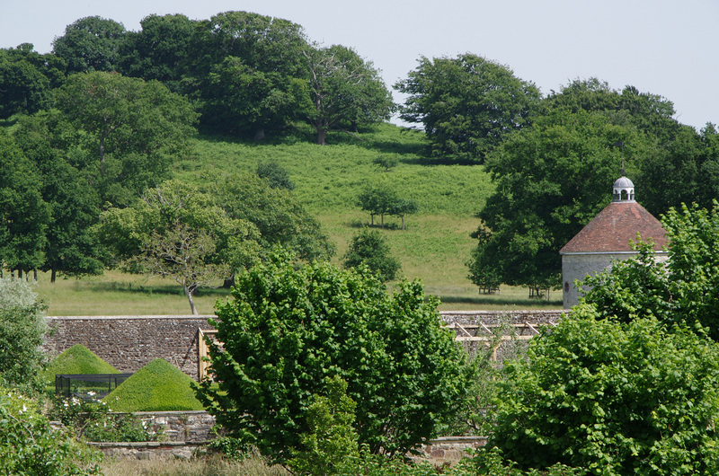 View from on top of the Wendy House