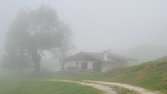 Almhütte im Nebel