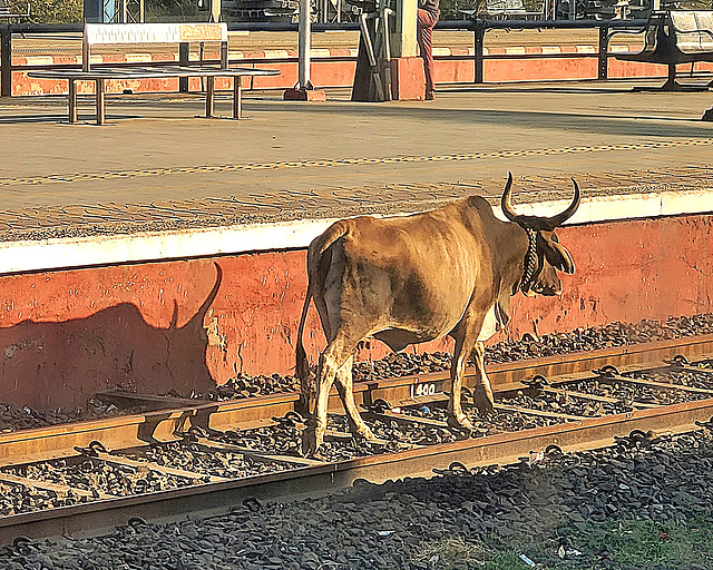 GANDIDHAM, Gujarat