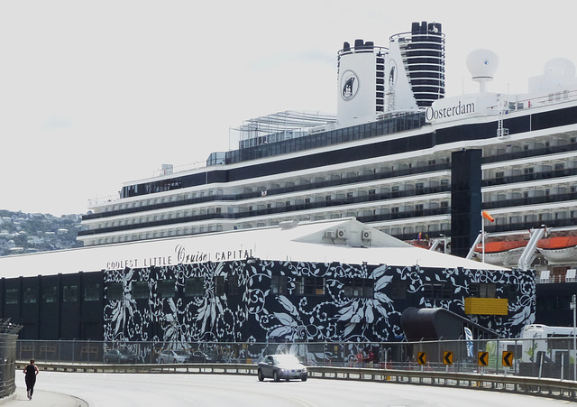 Oosterdam at Wellington (2M) - 27 February 2015