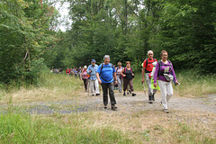 Randonnée Bombon-La Chapelle Gauthier-Bombon  - 20/06/2015