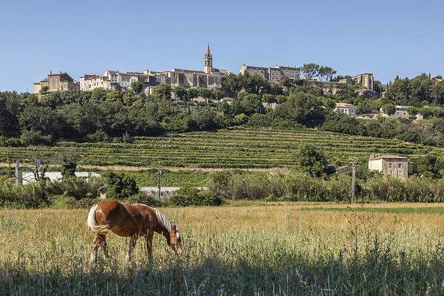 La Cadière d'Azur