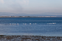 Murtosa, Portugal