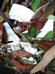 Shrapnel of two old plates in the porch flying with strong winds went to the bin