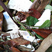 Shrapnel of two old plates in the porch flying with strong winds went to the bin