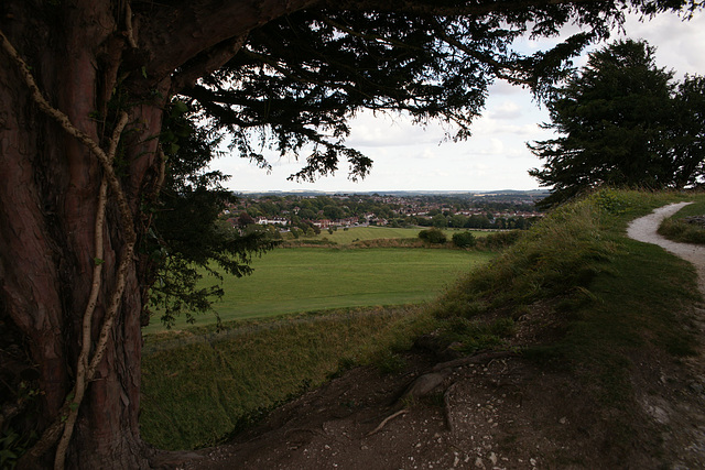 View From The Walls Of Old Sarum