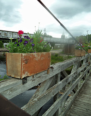 Pont, passerelle et fleurs / Bridges and flowers