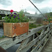 Pont, passerelle et fleurs / Bridges and flowers