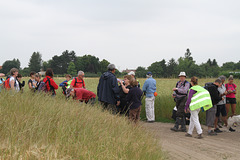 Randonnée Bombon-La Chapelle Gauthier-Bombon  - 20/06/2015