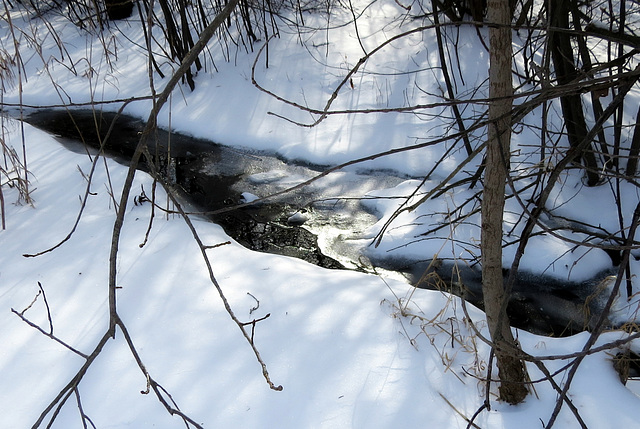 The creek did not freeze...