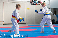 kj-karate-782 15182042463 o