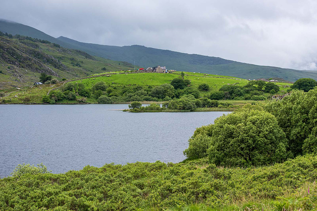 Llyn Llynnau3