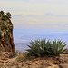 South Rim and Agaves