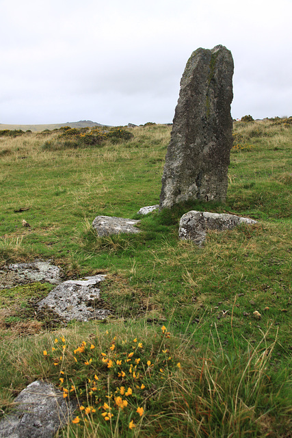 Merivale Stone Rows