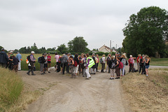 Randonnée Bombon-La Chapelle Gauthier-Bombon  - 20/06/2015