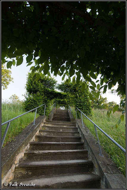 Hoch hinaus im Schloßpark