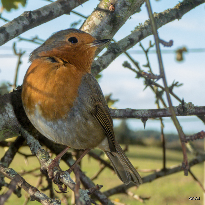 Enough of the modelling - when are you feeding me?