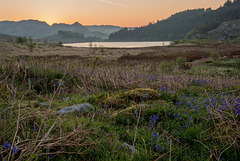 Llyn Mymbyr just at sunrise.