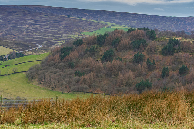 Shire Hil and the moors