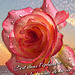 La rose Léo Ferré