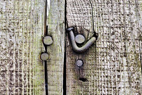 Fence 2