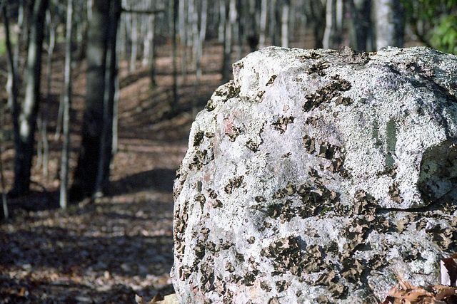 Rock alongside the Road Rock alongside the Road