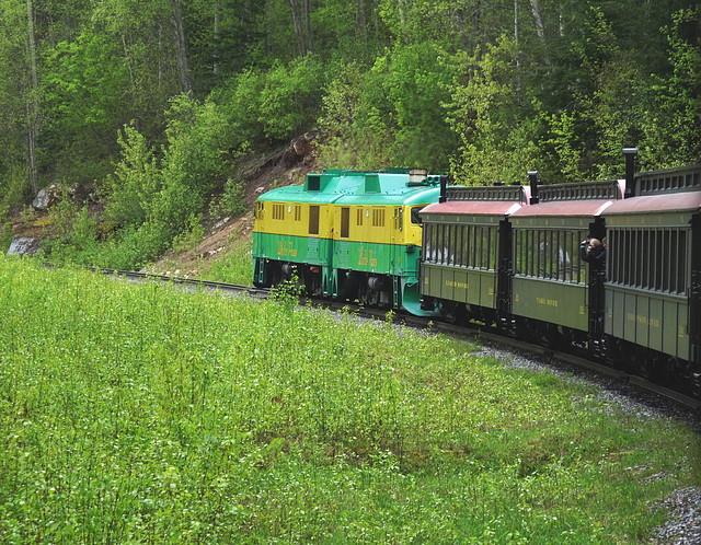 White Pass And Yukon Railroad Train Near Skagway