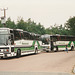 Seamarks Travel MJI 8662 (B544 BMH) and B817 BPP (B541 BMH, 9683 ML, 9569 KM, A531 STM) at Barton Mills - 6 Aug 1994