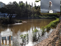 Main Pond