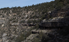 Walnut Canyon National Monument cliff dwellings (1567)