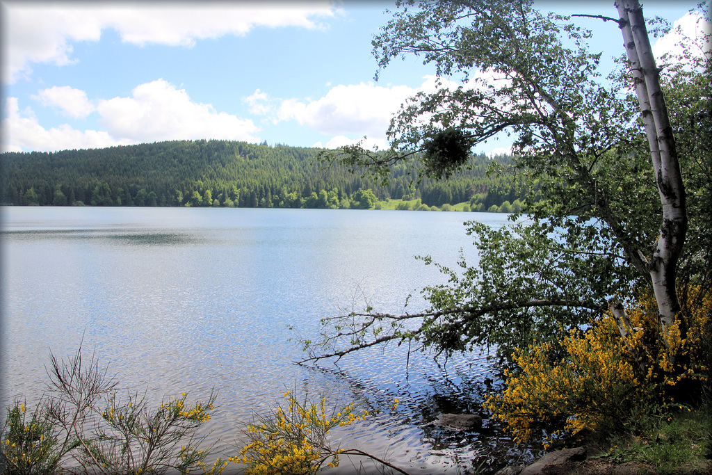 Lac du Bouchet (43) 5 juin 2017.