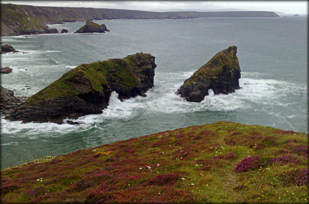 Samphire and Asparagus Islands, Porthcadjack