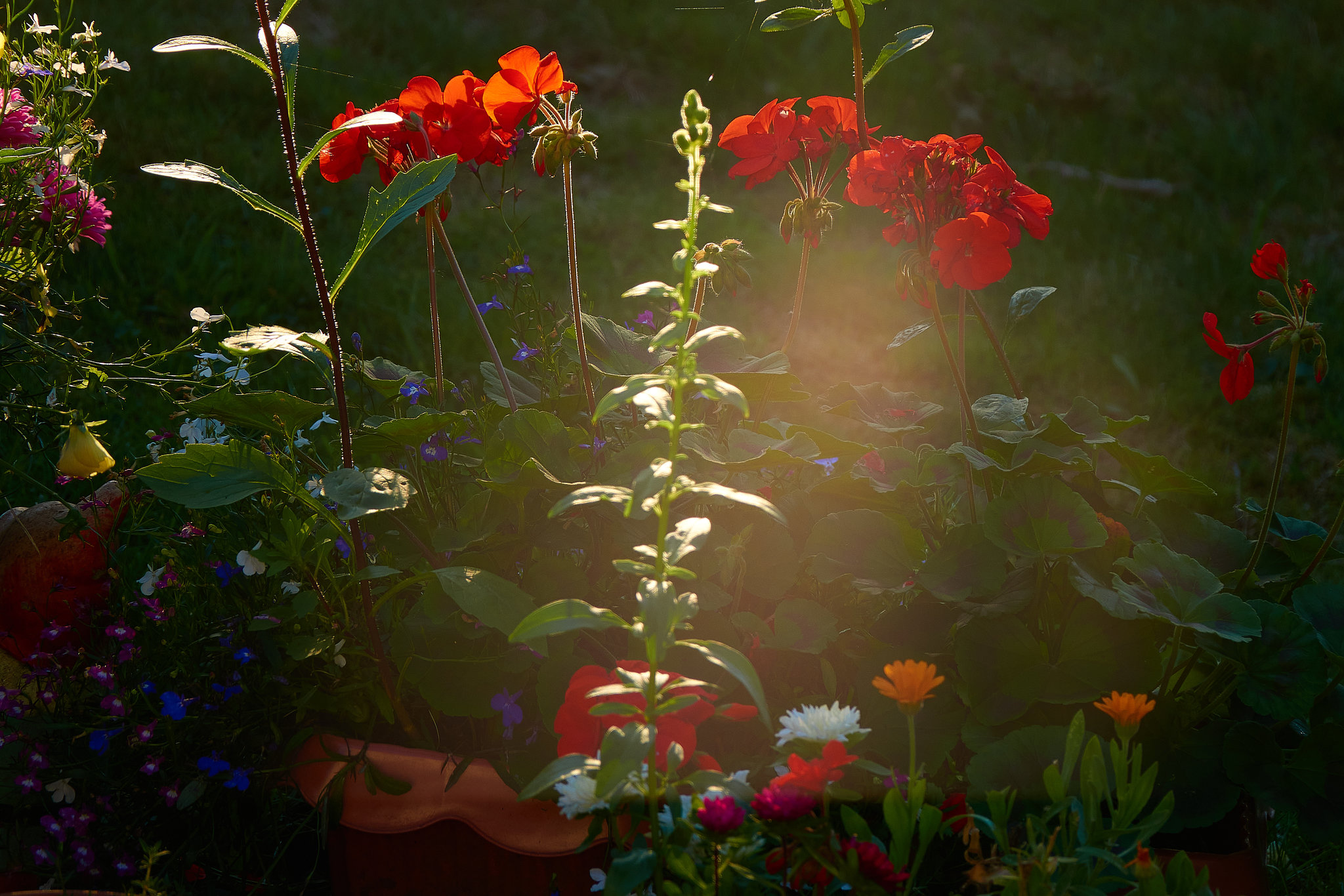 That late late sun.That long long light. Those bright bright shining colours