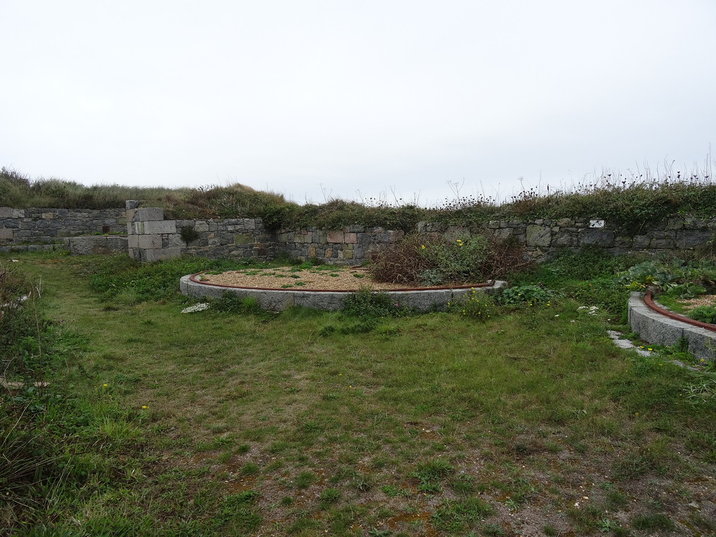 aysep2019ft (1054)