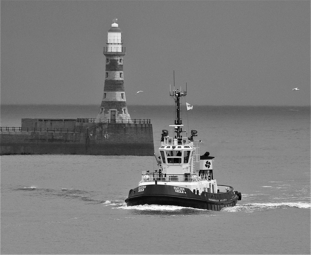 Svitzer Cecilia