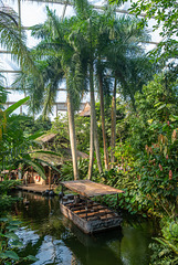 Gondwanaland