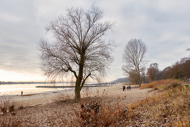 -elbstrand-02108-co-04-12-16