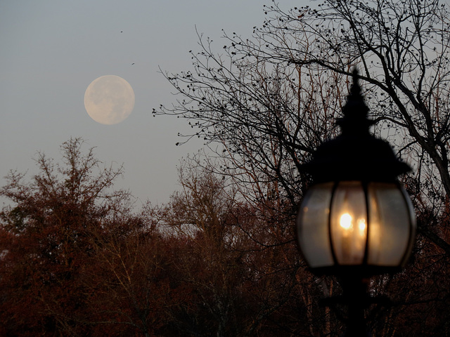 Super Moon - 2017