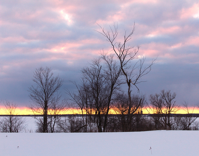 toujours l'hiver