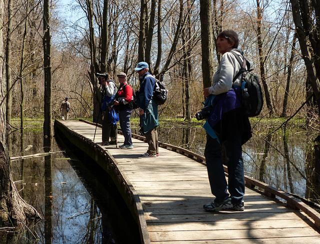 Birders at Pt Pelee, Ontario